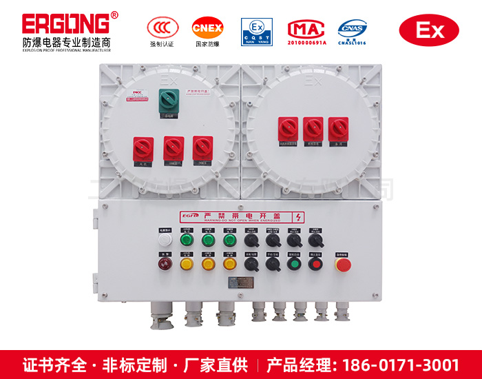 二工四相四芯防爆检修箱优质石化防爆插座箱