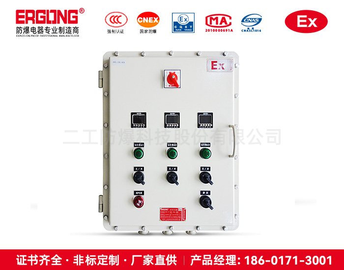 二工防爆配电箱-用于爆炸性气体环境-加工定制
