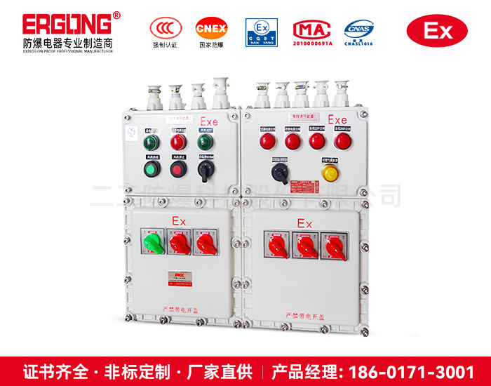 ⅡCT6防爆配电箱用于可燃性粉尘场所-仪表箱电气厂家