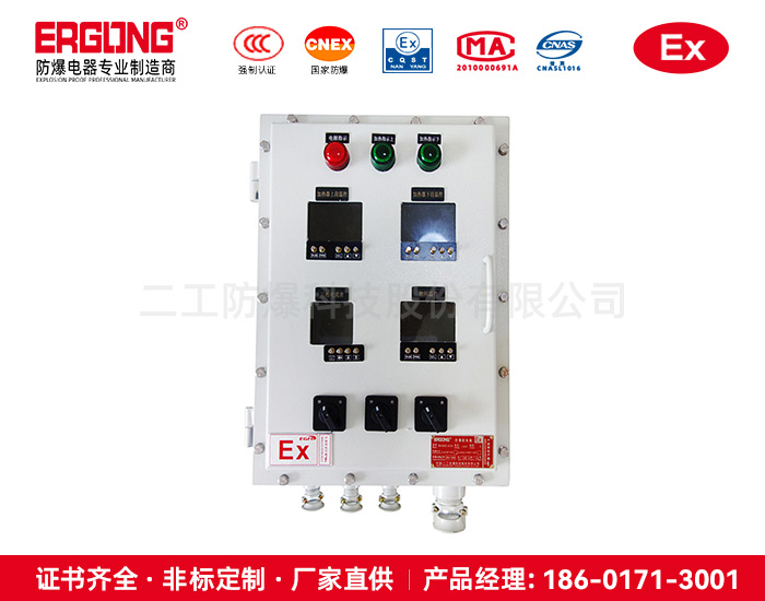 ⅡC增安型防爆配电箱-爆炸性气体环境仪表箱电气厂家
