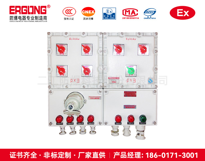 防爆配电箱按钮插座仪表箱