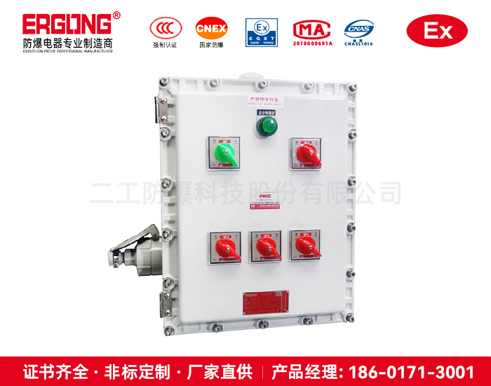 防爆配电箱用于温度组别为T1-T6的环境-专业制造商