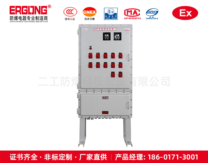 防爆配电箱化工自动化实力厂家制造