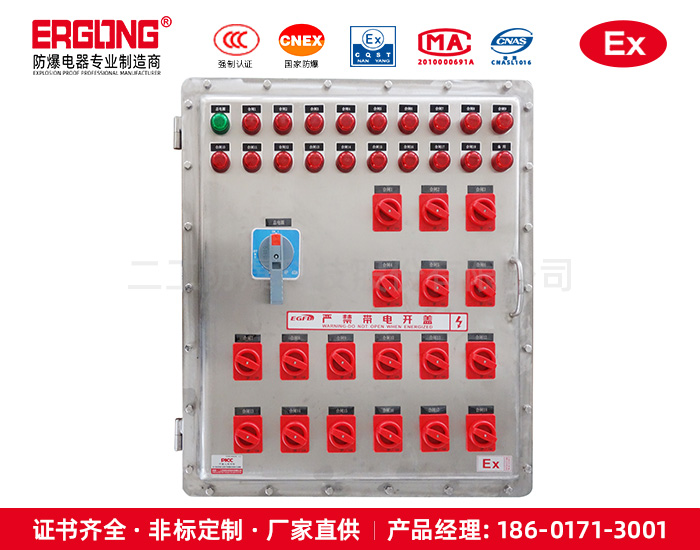 防爆电机现场控制箱
