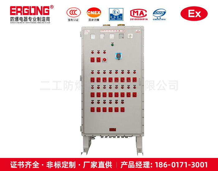 防爆配电箱成套装置