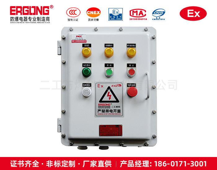 防爆配电箱（IIC）