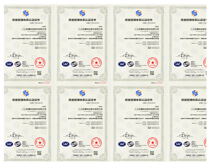 ISO9001（中文版）
